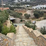 Markiani *