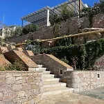 Markiani *