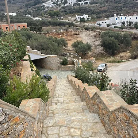 Markiani *